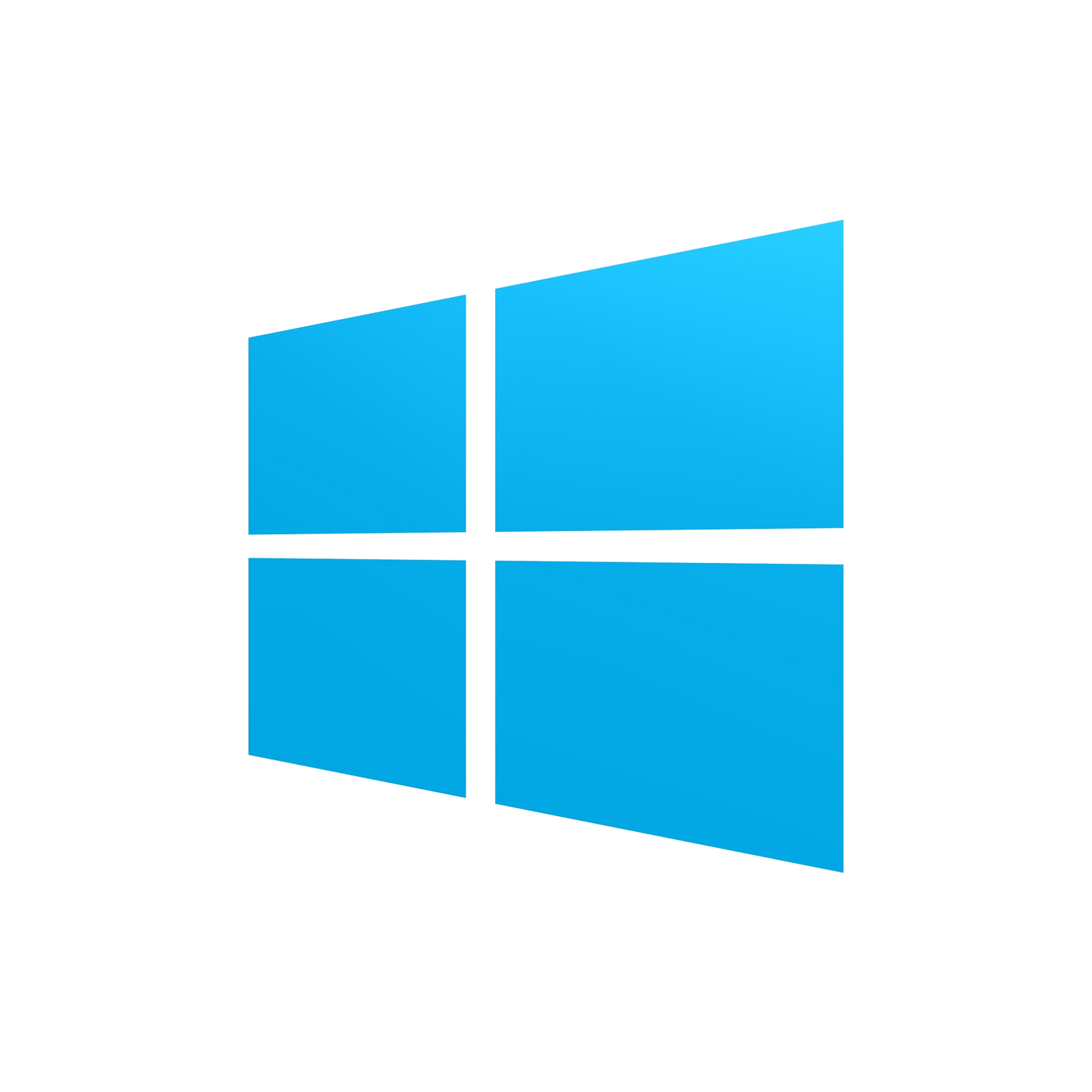 Win 10/11 Pro OEM Online 1 PC